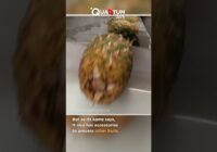 How Pineaple Juice Is Made