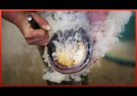 Satisfying Hoof Restoration Start to Finish | Farrier ASMR by @MaupinFarrierCo