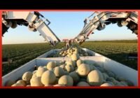 Top 5 Most Viewed Harvesting Process Videos in 2023