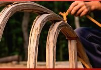 Man Makes Amazing PRIMITIVE Bow Only Using Natural Materials | by @clayhayeshunter